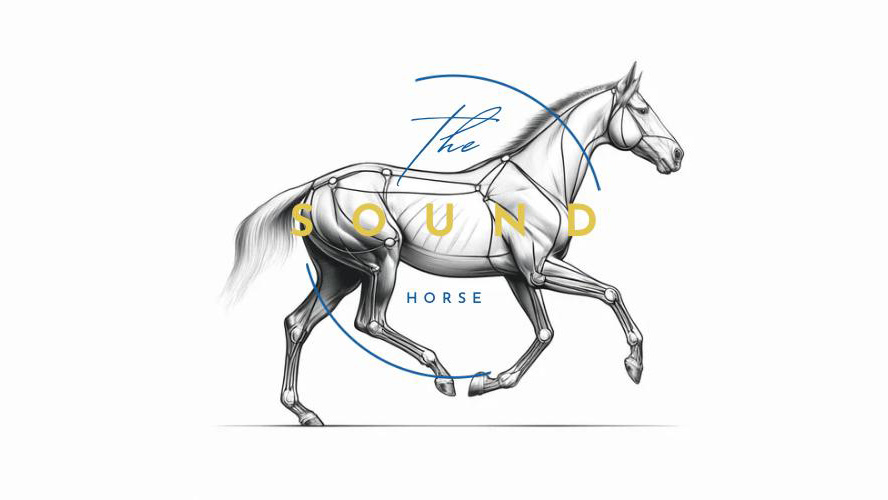 Equestrian blog
